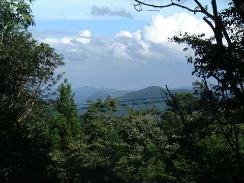 f0090444_22342868.jpg
