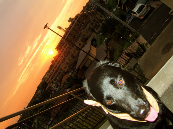 c0039145_0135545.jpg
