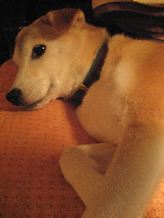 c0003752_13263849.jpg