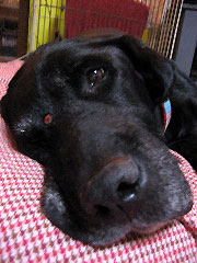 c0003752_13264886.jpg