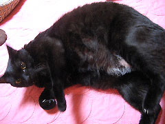 c0003752_13272061.jpg
