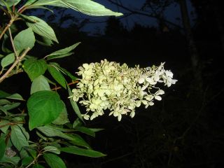 2006年9月8日 暑い。。_b0098584_20131893.jpg