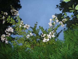 2006年9月8日 暑い。。_b0098584_2013397.jpg
