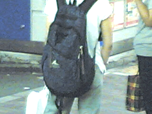 Gregory is here_c0077105_2271659.gif