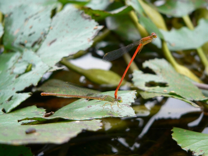 e0002314_20101149.jpg