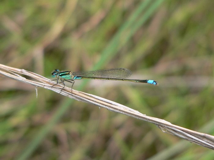 e0002314_20112868.jpg