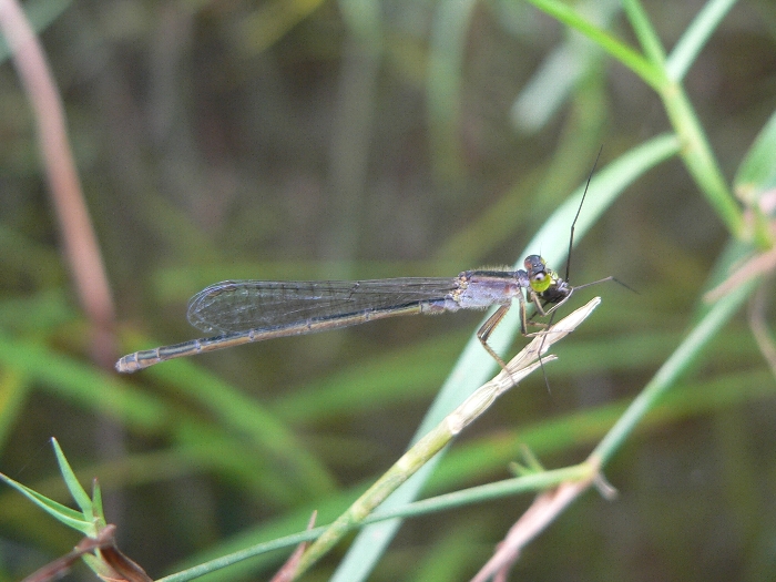 e0002314_20114787.jpg