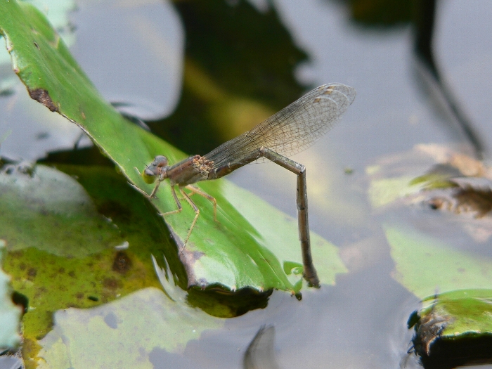 e0002314_20122188.jpg