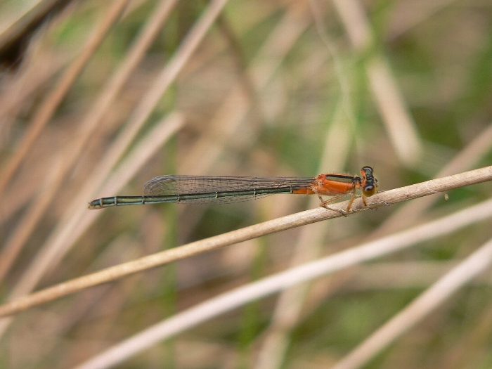e0002314_2012393.jpg