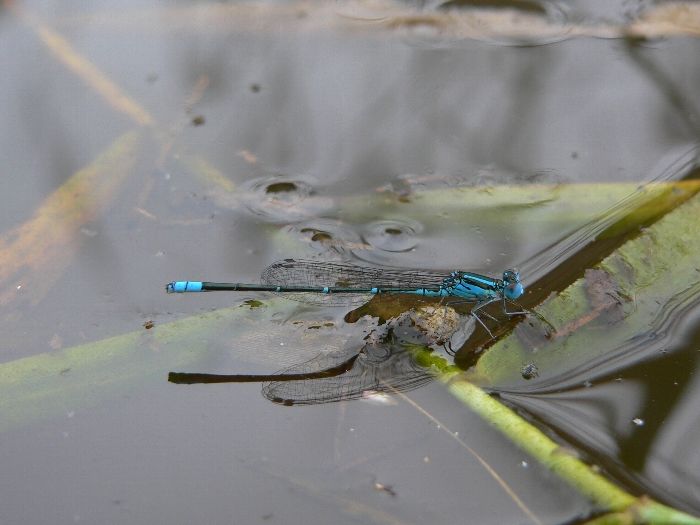 e0002314_20124338.jpg