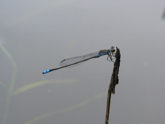 e0002314_2013473.jpg