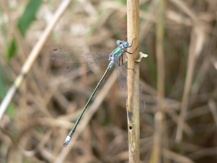 e0002314_20143034.jpg
