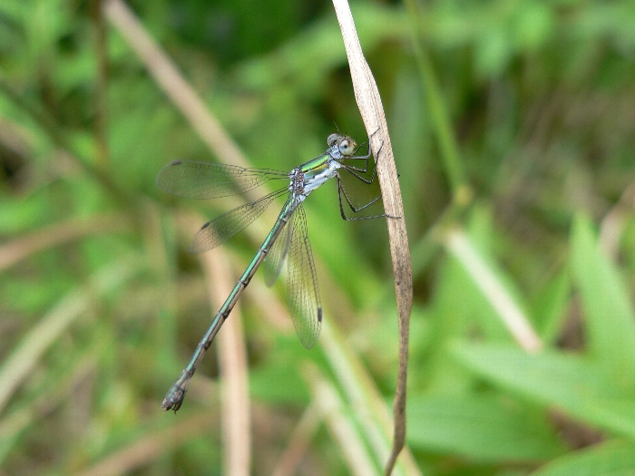 e0002314_20144310.jpg