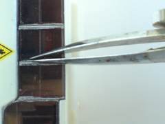 a0077930_1113457.jpg