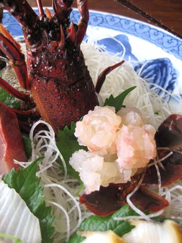 福寿丸 静岡県伊東市 どすこいスイーツ道場 福寿丸 静岡県伊東市 どすこいスイーツ道場