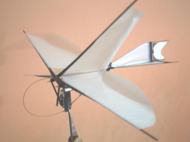 トラタヌ BB 未完成_d0067943_127140.jpg