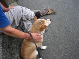 この土日のサイは。。。_c0049950_10463746.jpg