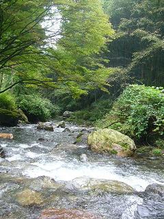 蝉時雨が聞こえてきませんか♪　　　9月10日_f0050955_22214564.jpg