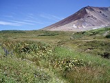 e0004756_21182939.jpg