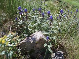 e0004756_2120437.jpg