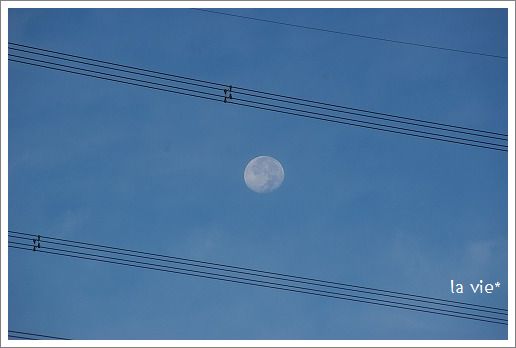 b0056172_23344672.jpg