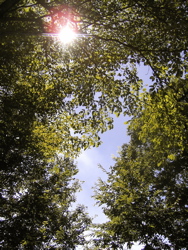 What a beautiful day!!_d0028589_213082.jpg