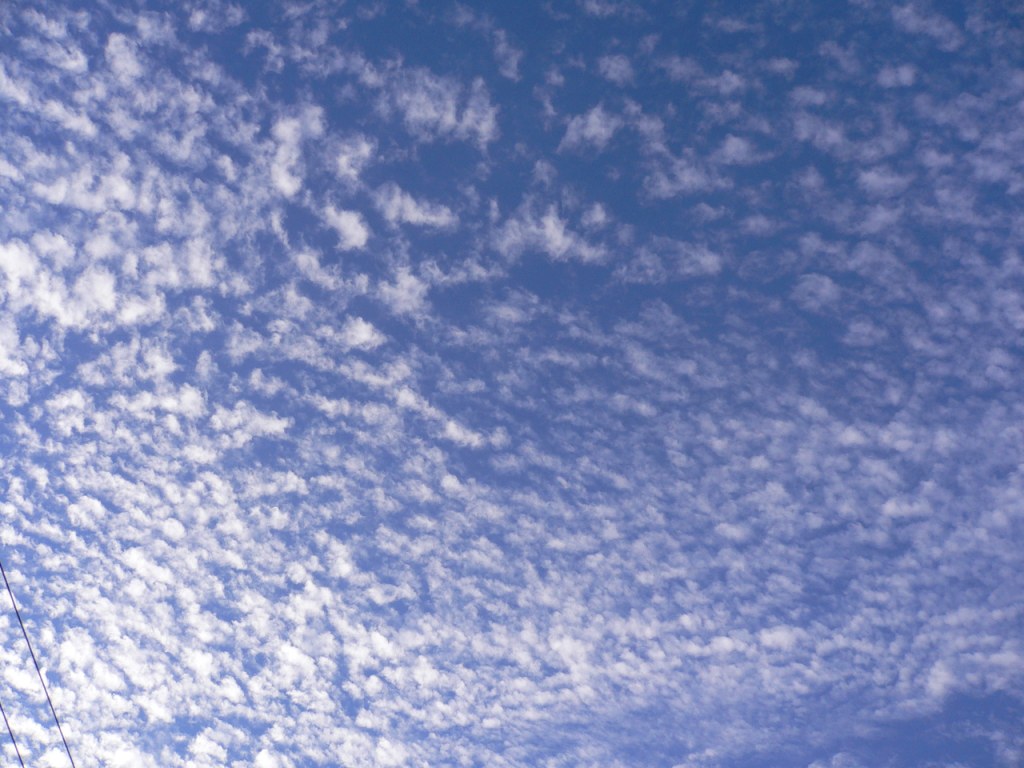 d0088196_17301968.jpg