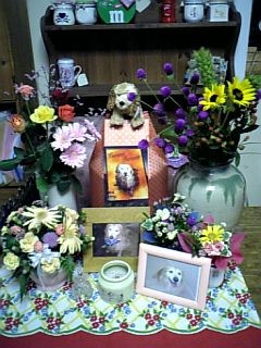 e0059197_13395029.jpg