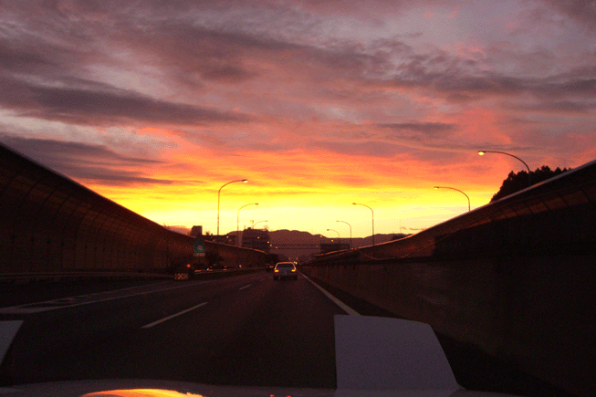 e0063003_10334426.gif
