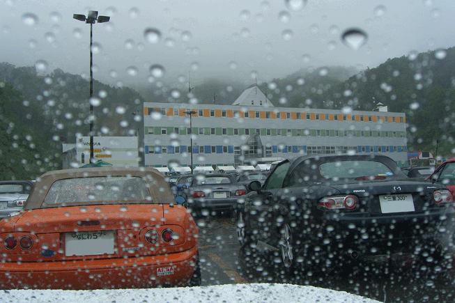 e0063003_10335931.gif