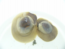d0046905_1051145.jpg