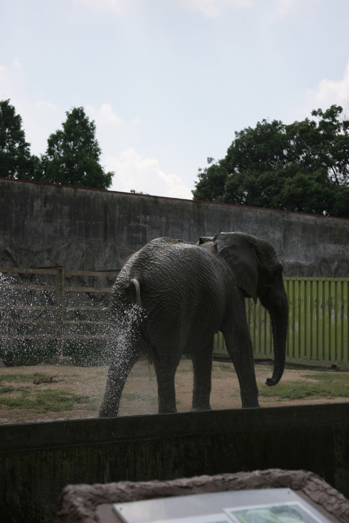 Sunday in the Zoo #4_e0022810_2120476.jpg