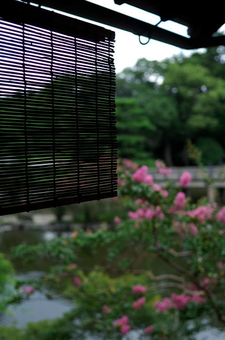 雅な佇まい・拾翠亭_f0032011_221930100.jpg