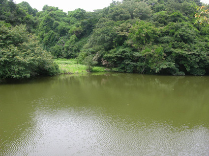 e0034013_14283767.jpg
