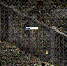 d0078615_2393595.gif