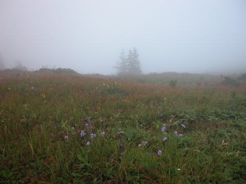 d0045626_10403379.jpg