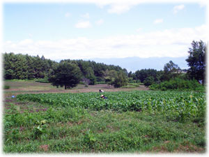 f0086827_22552168.jpg