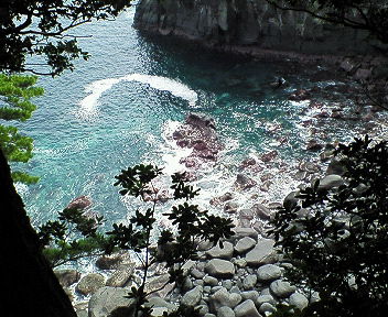 f0087044_11931.jpg