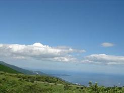 a0055362_23102713.jpg