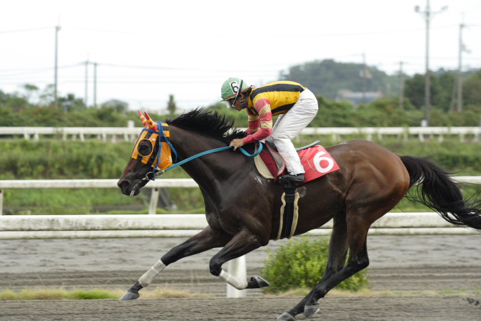 西川敏弘騎手、通算勝利1800勝達成！！_a0077663_19315733.jpg