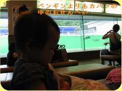 a0052666_1312960.jpg