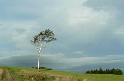 f0083977_23184891.jpg