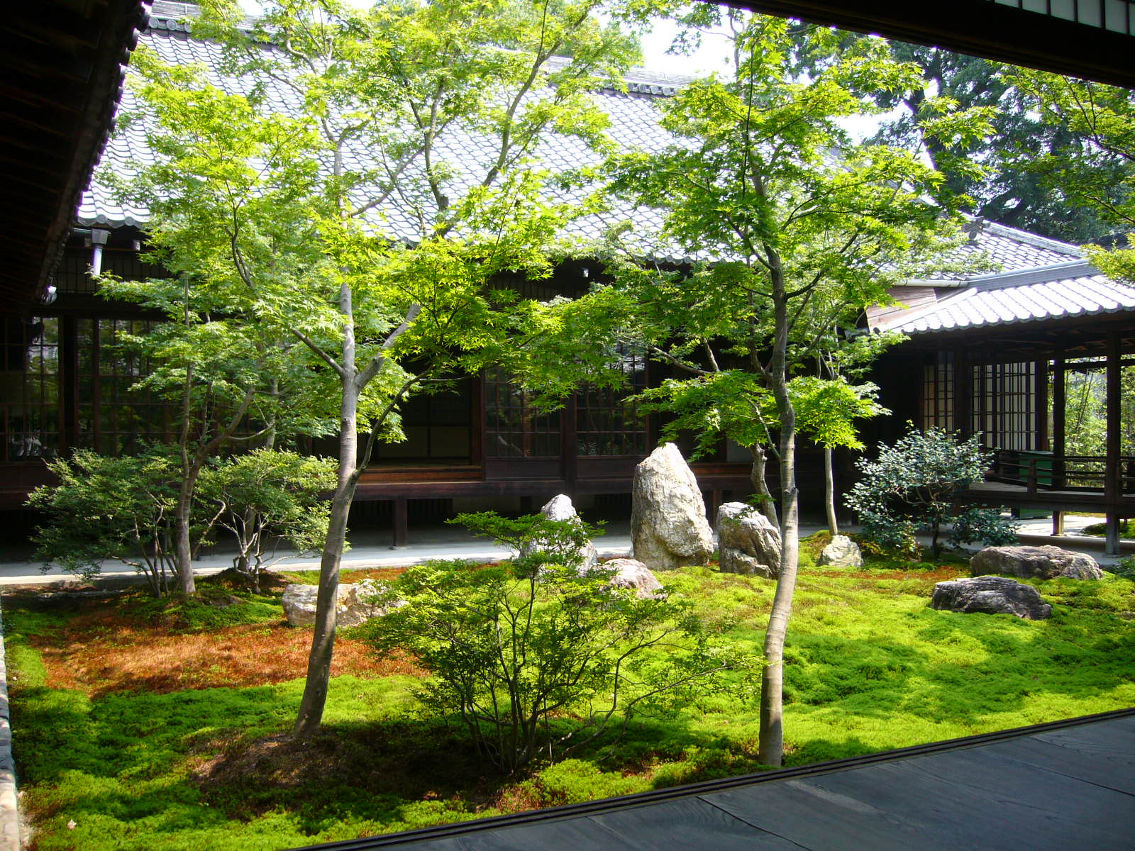 気持ちのいい場所_d0091994_22143096.jpg