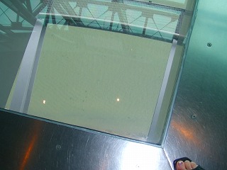 f0081117_14258.jpg
