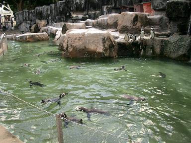 c0005619_031013.jpg