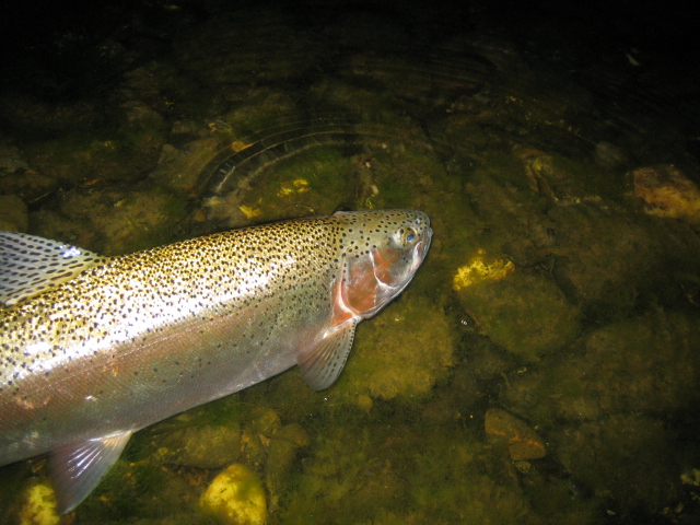 e0063923_17503653.jpg