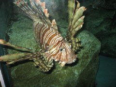 d0017632_11391097.jpg