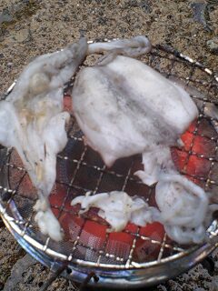 f0009238_9551441.jpg