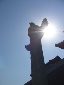 帰国_e0035344_12384228.jpg