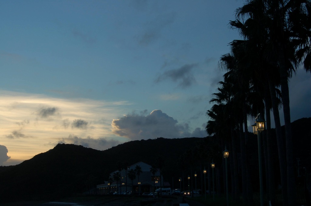 c0024254_132984.jpg